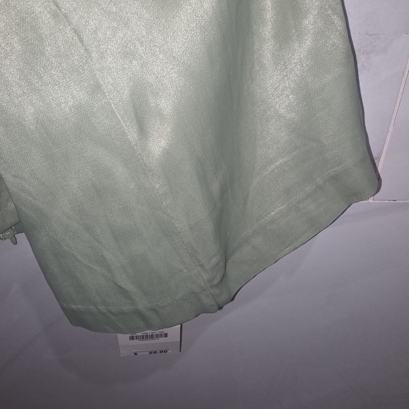 Zara Sage Green Wide Leg Dress Pants - Picture 6 of 7